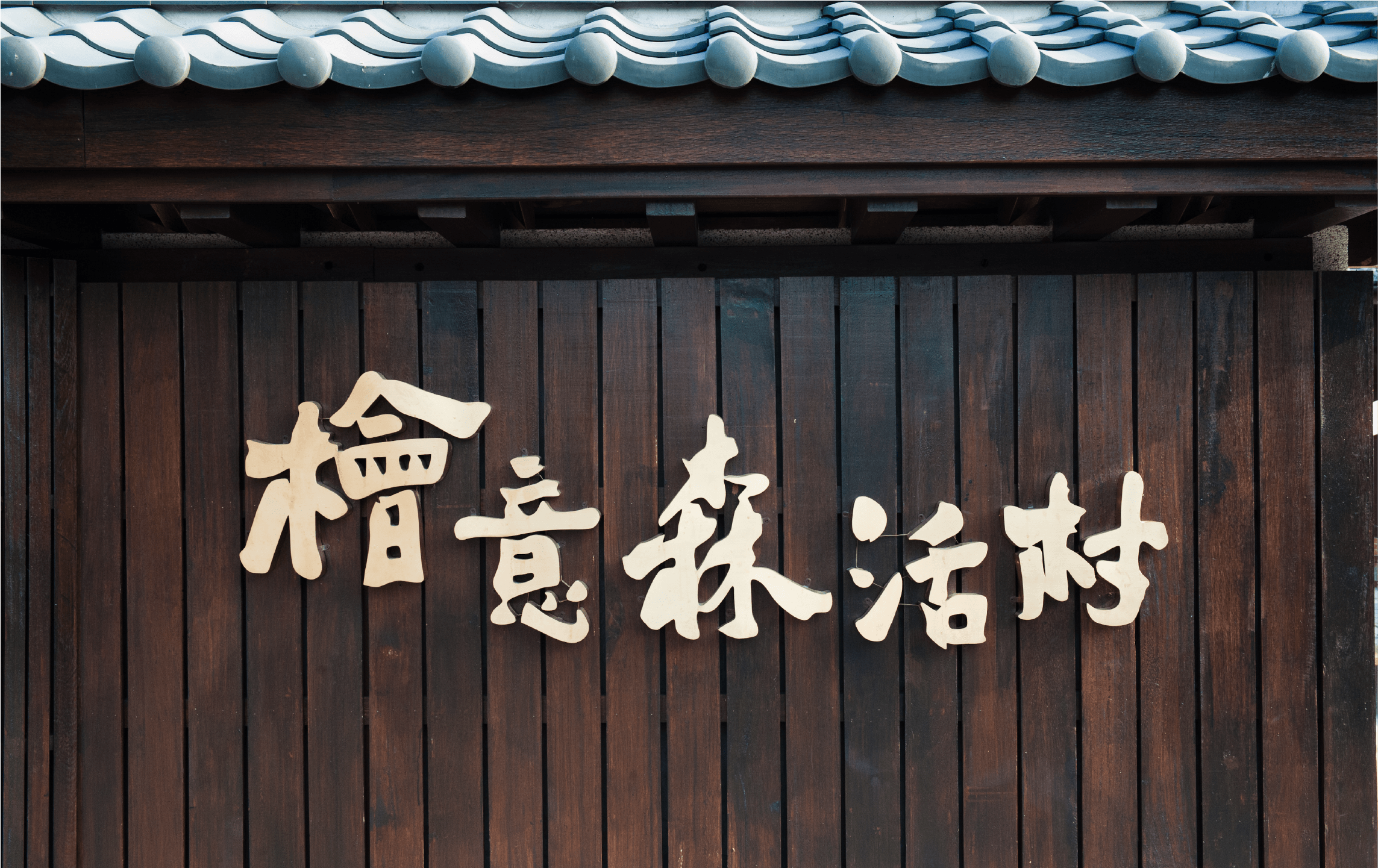 ePay365成功案例